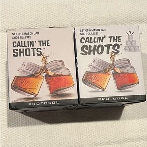 Protocol Callin' the Shots Mason Jar Shot Glasses